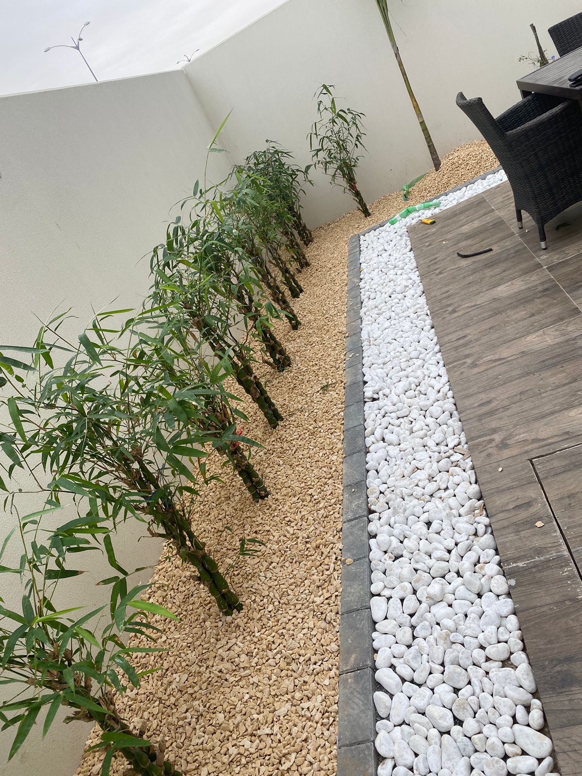 WhatsApp Image 2022-10-01 at 9.31.56 AM