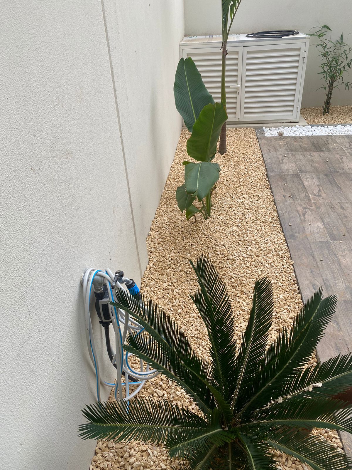 WhatsApp Image 2022-10-01 at 9.31.57 AM