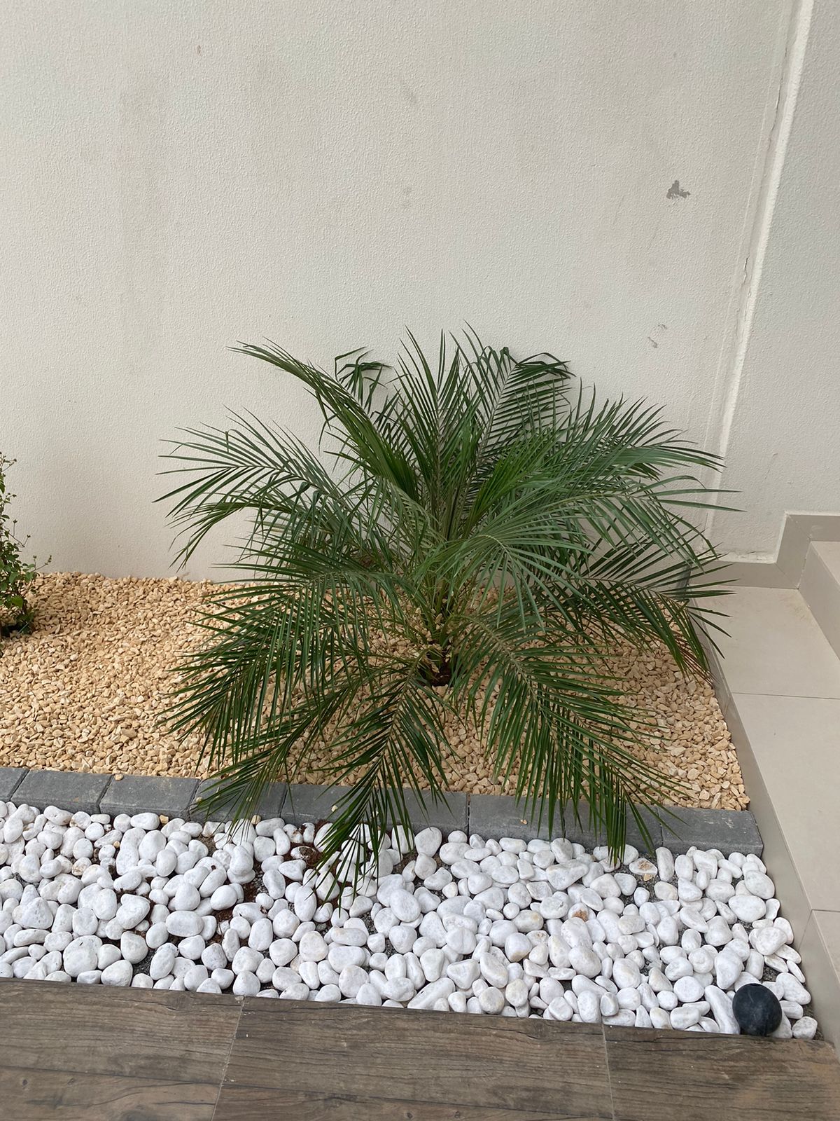 WhatsApp Image 2022-10-01 at 9.31.58 AM