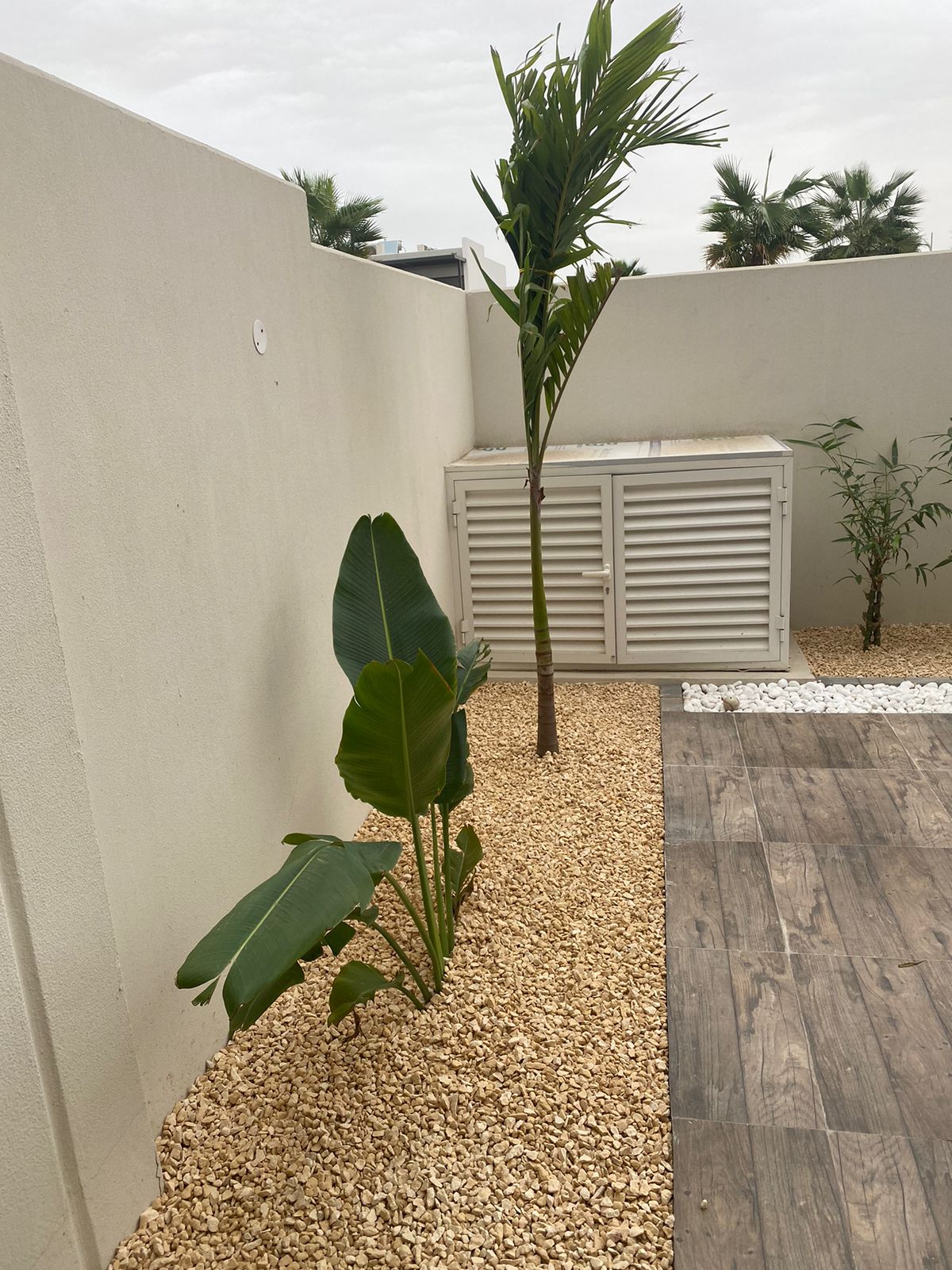 WhatsApp Image 2022-10-01 at 9.31.59 AM