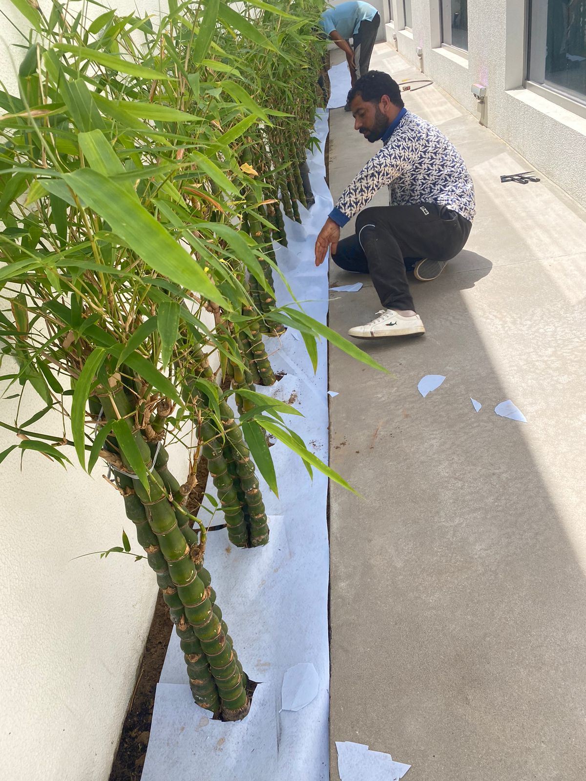 WhatsApp Image 2022-10-01 at 9.35.11 AM (1)