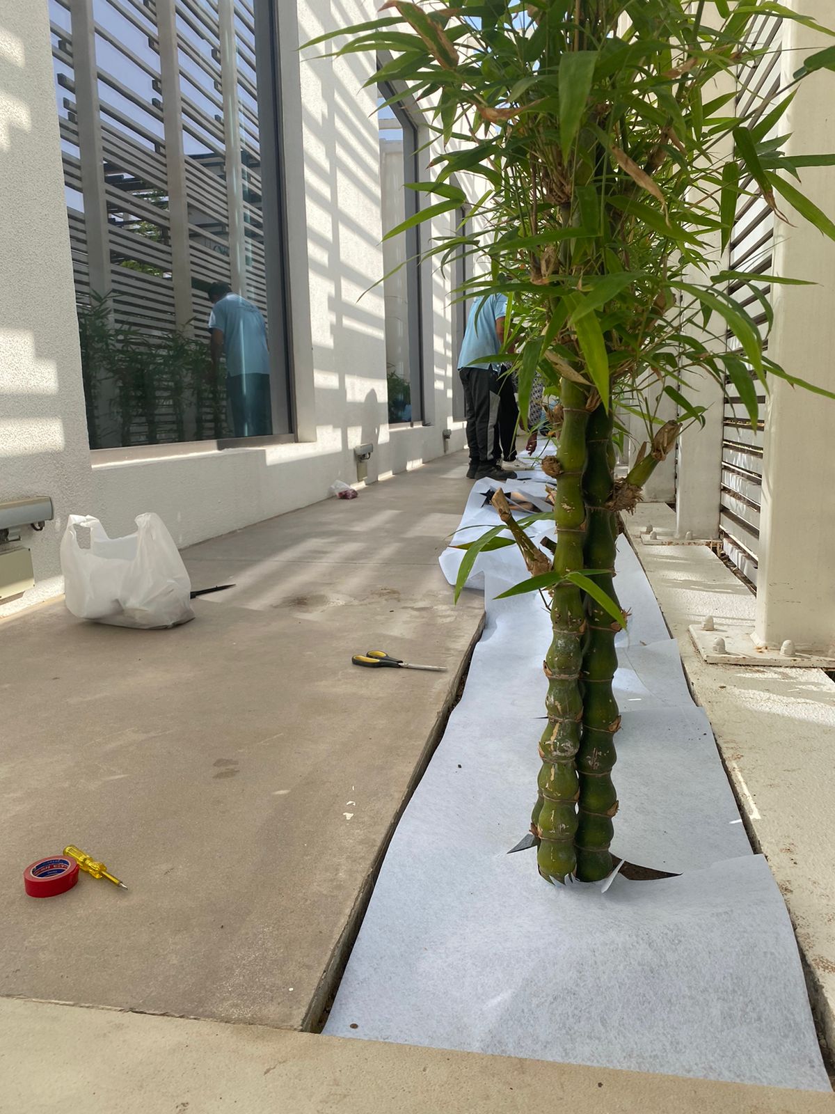 WhatsApp Image 2022-10-01 at 9.35.11 AM