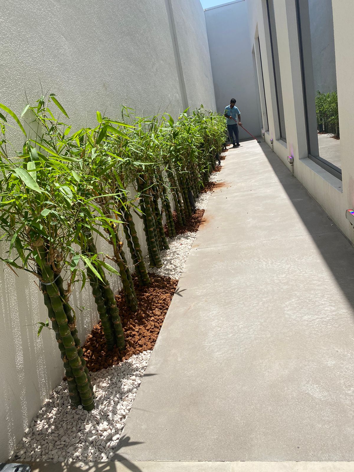 WhatsApp Image 2022-10-01 at 9.35.12 AM