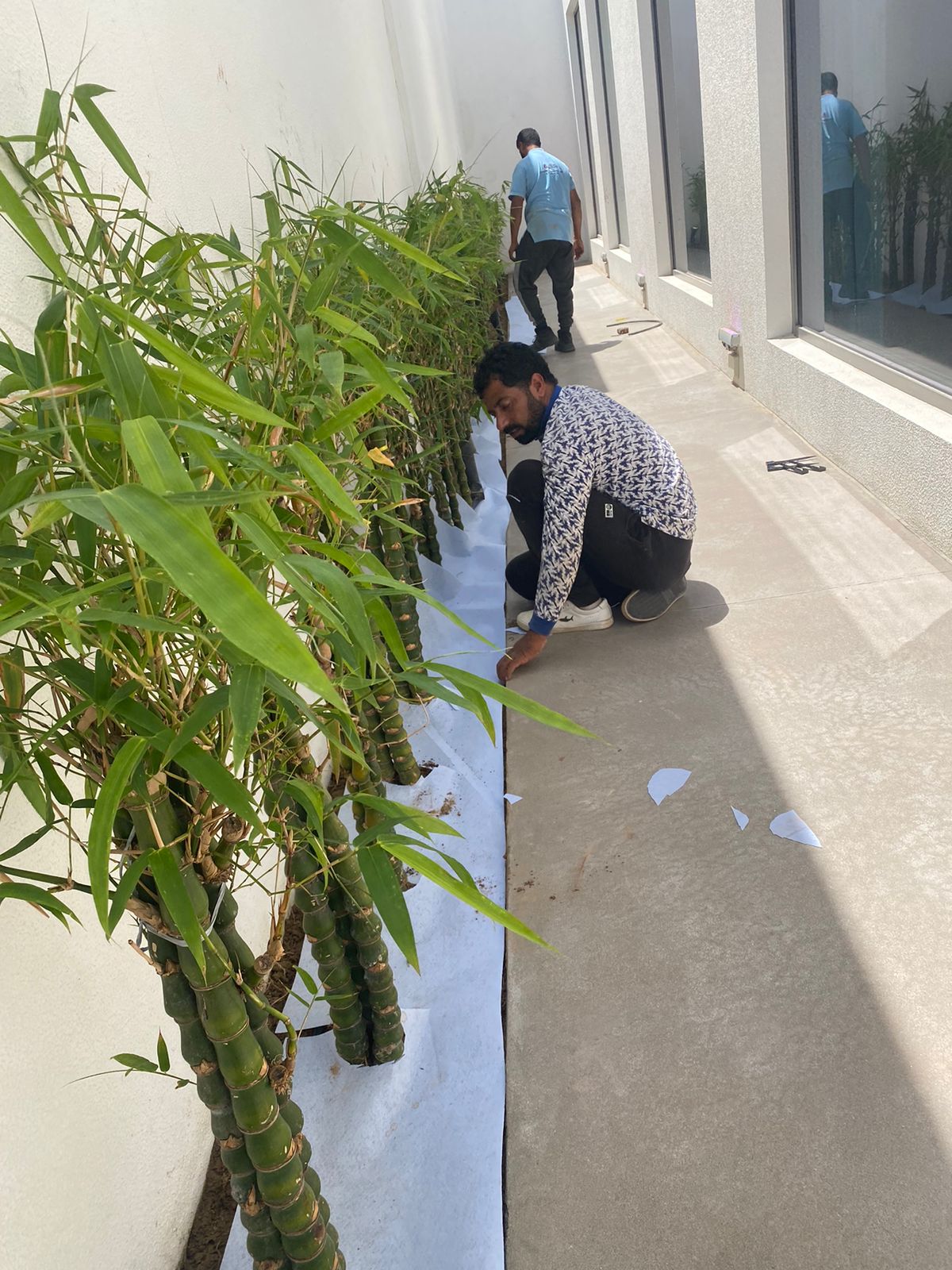 WhatsApp Image 2022-10-01 at 9.35.13 AM (1)