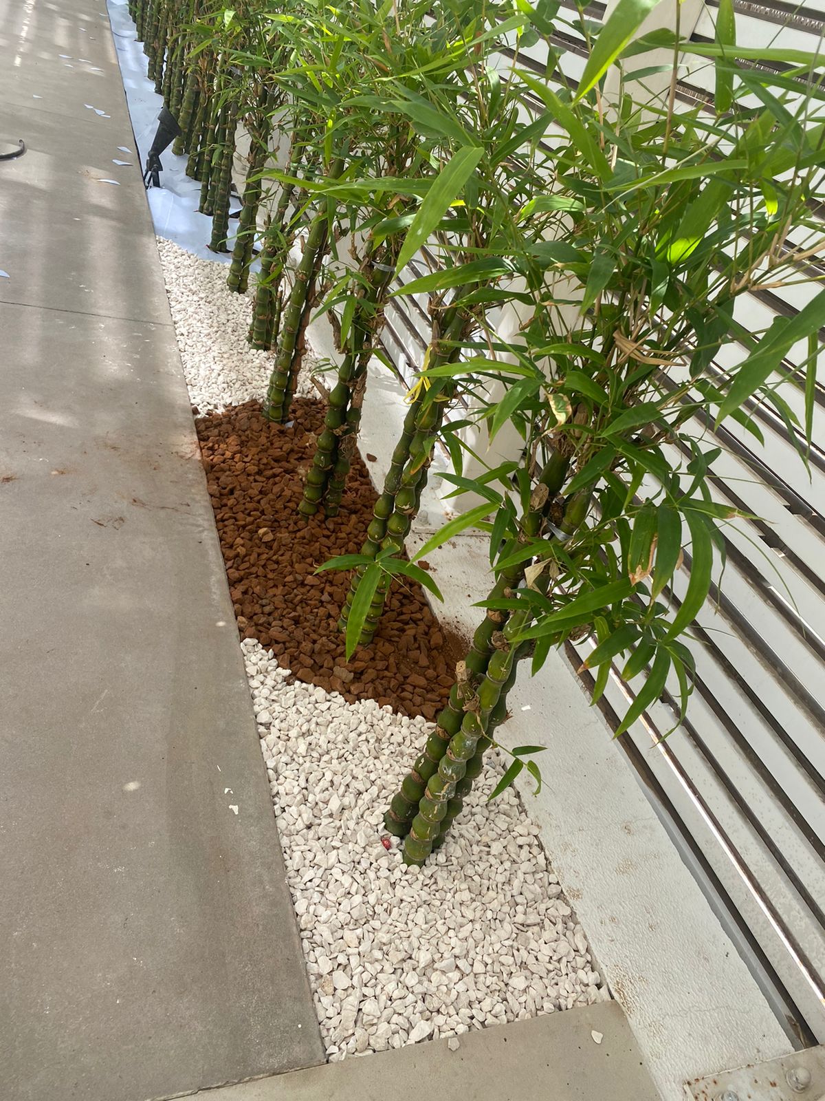 WhatsApp Image 2022-10-01 at 9.35.13 AM