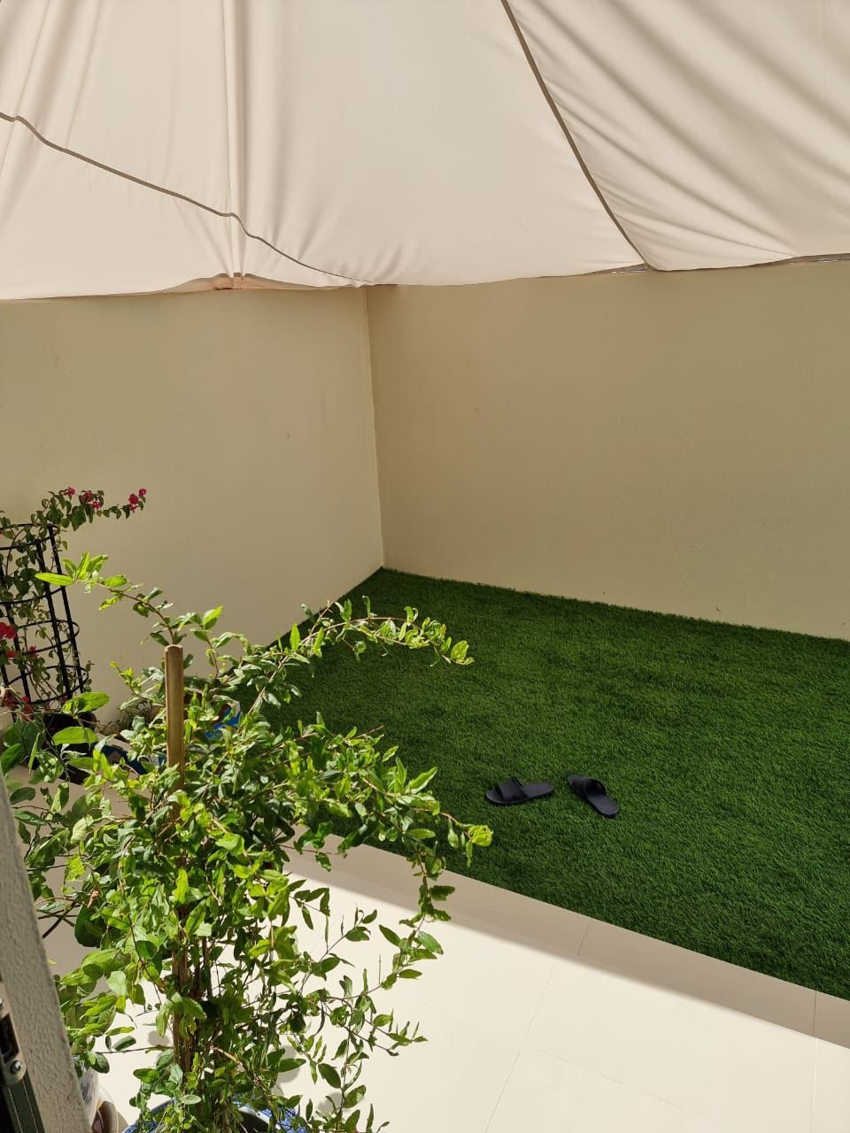 WhatsApp Image 2022-10-01 at 9.41.16 AM