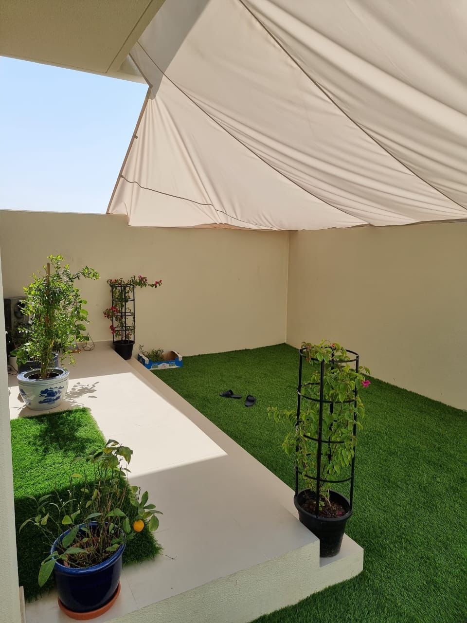 WhatsApp Image 2022-10-01 at 9.41.17 AM