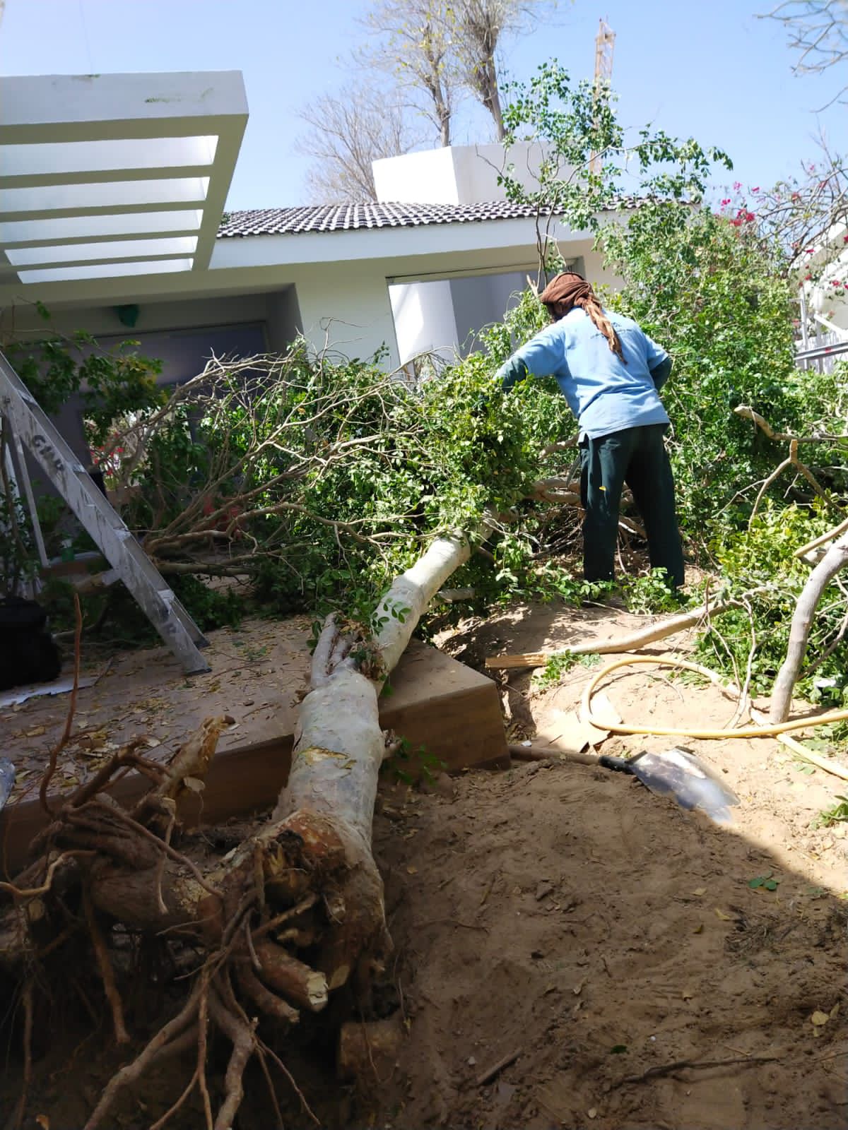 WhatsApp Image 2022-10-01 at 9.42.26 AM