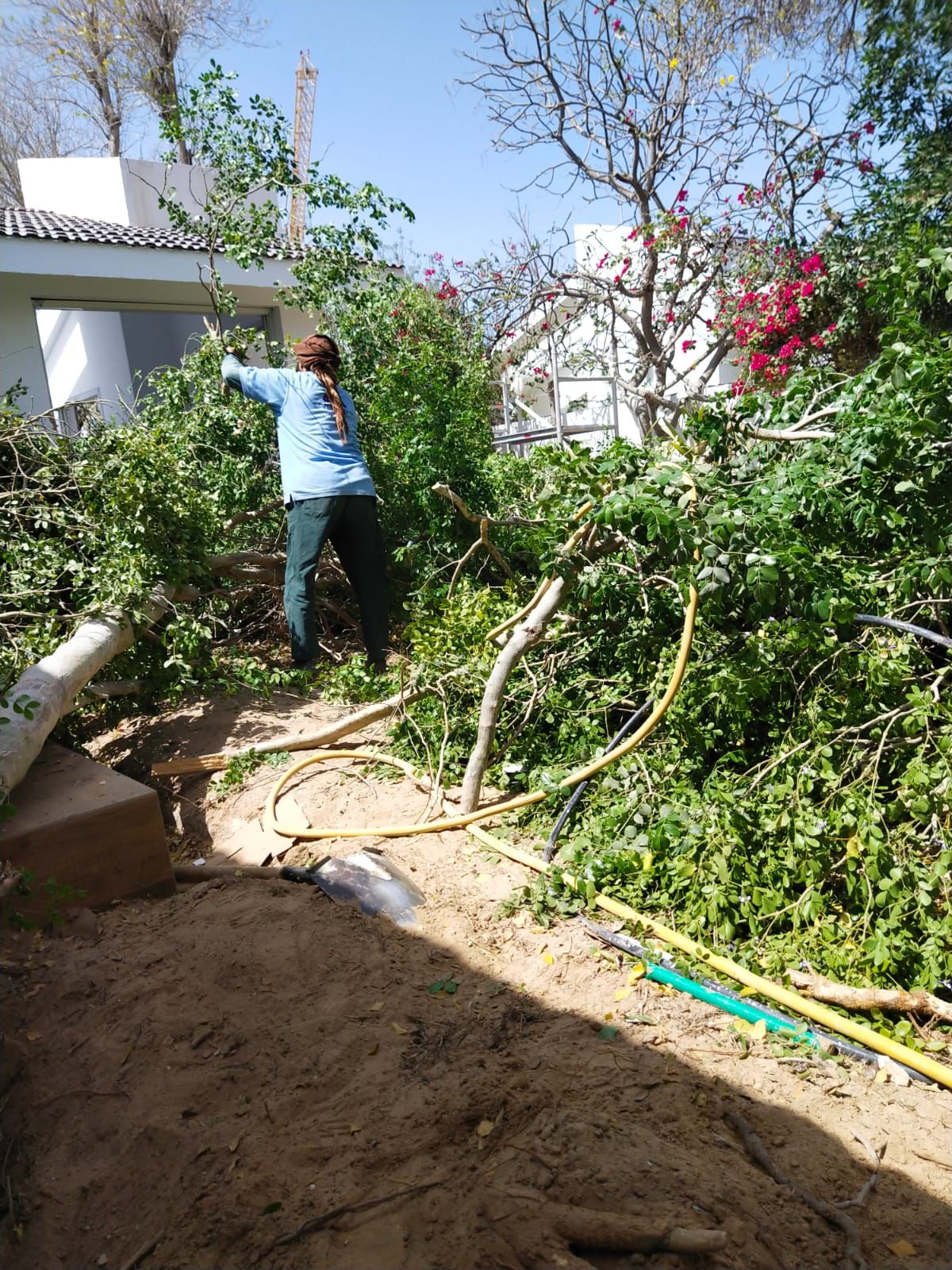 WhatsApp Image 2022-10-01 at 9.42.27 AM