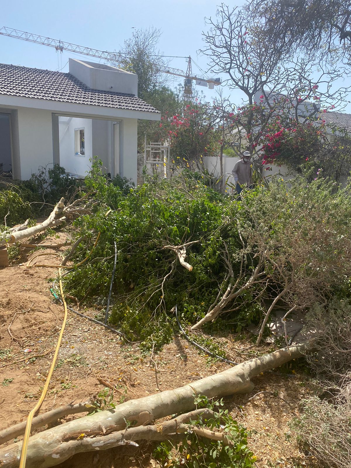 WhatsApp Image 2022-10-01 at 9.42.28 AM (1)