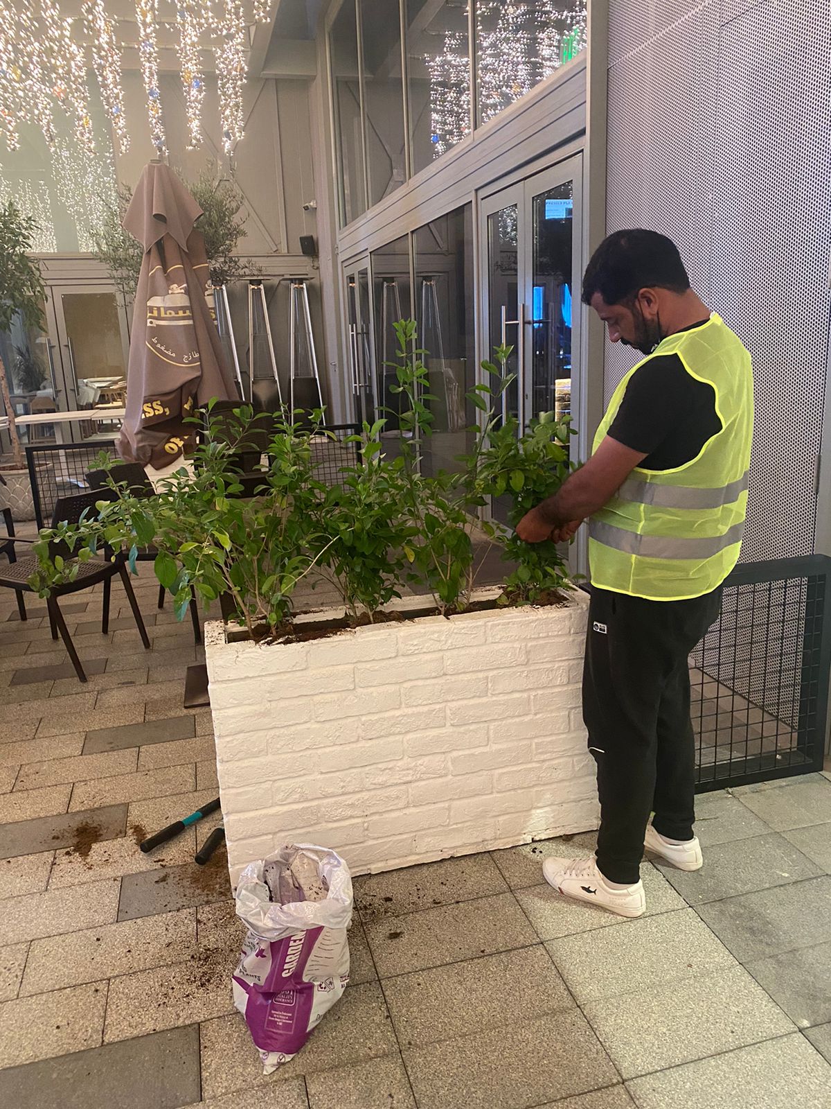 WhatsApp Image 2022-10-01 at 9.43.41 AM