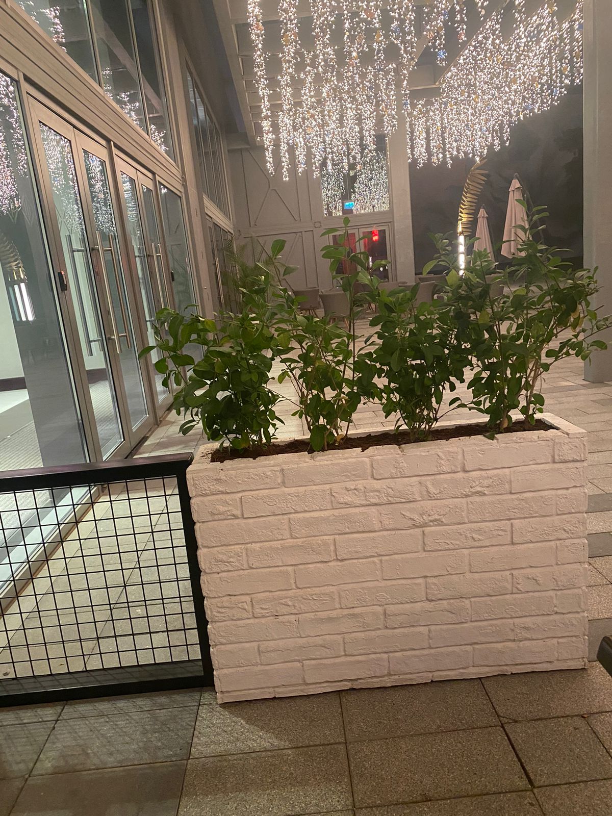 WhatsApp Image 2022-10-01 at 9.43.42 AM (1)