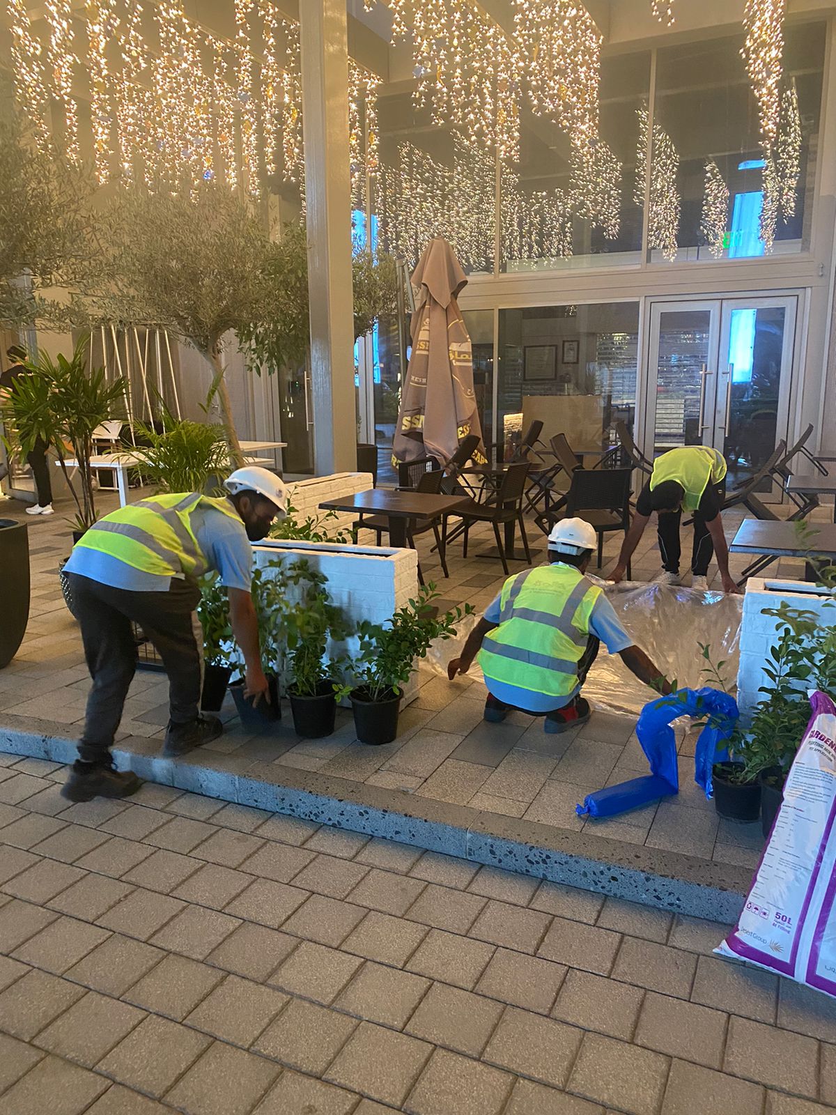 WhatsApp Image 2022-10-01 at 9.43.43 AM (1)