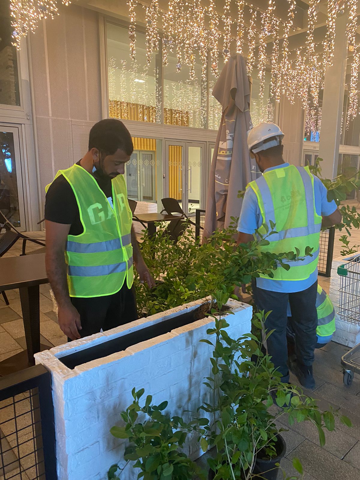 WhatsApp Image 2022-10-01 at 9.43.43 AM