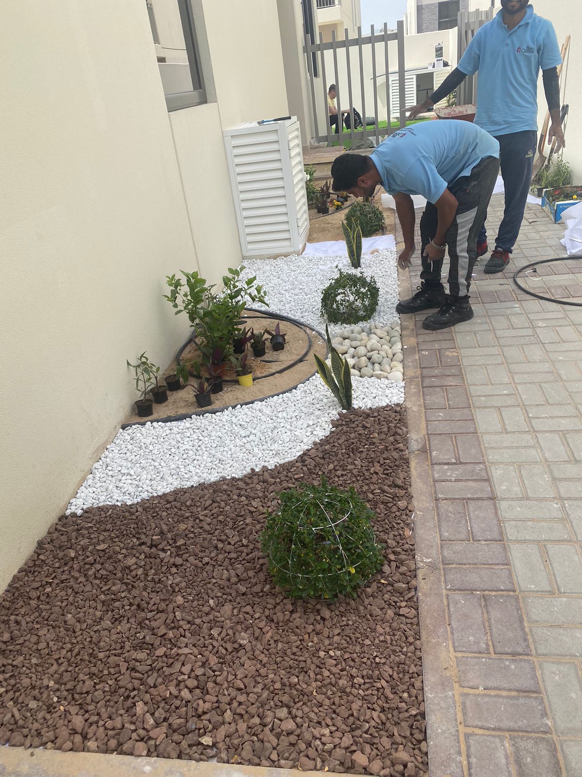 WhatsApp Image 2022-10-01 at 9.44.23 AM