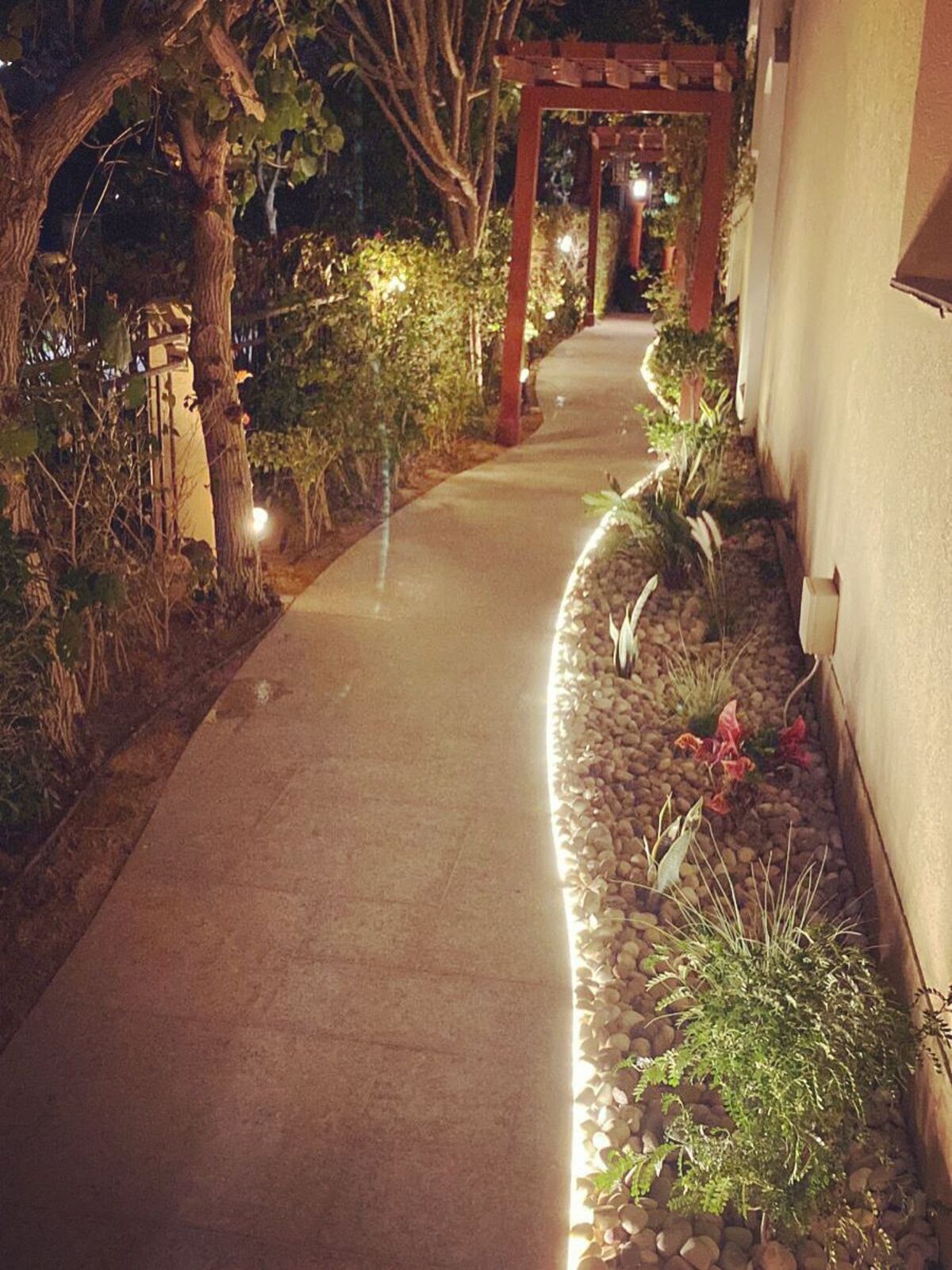 WhatsApp Image 2022-10-01 at 9.45.05 AM