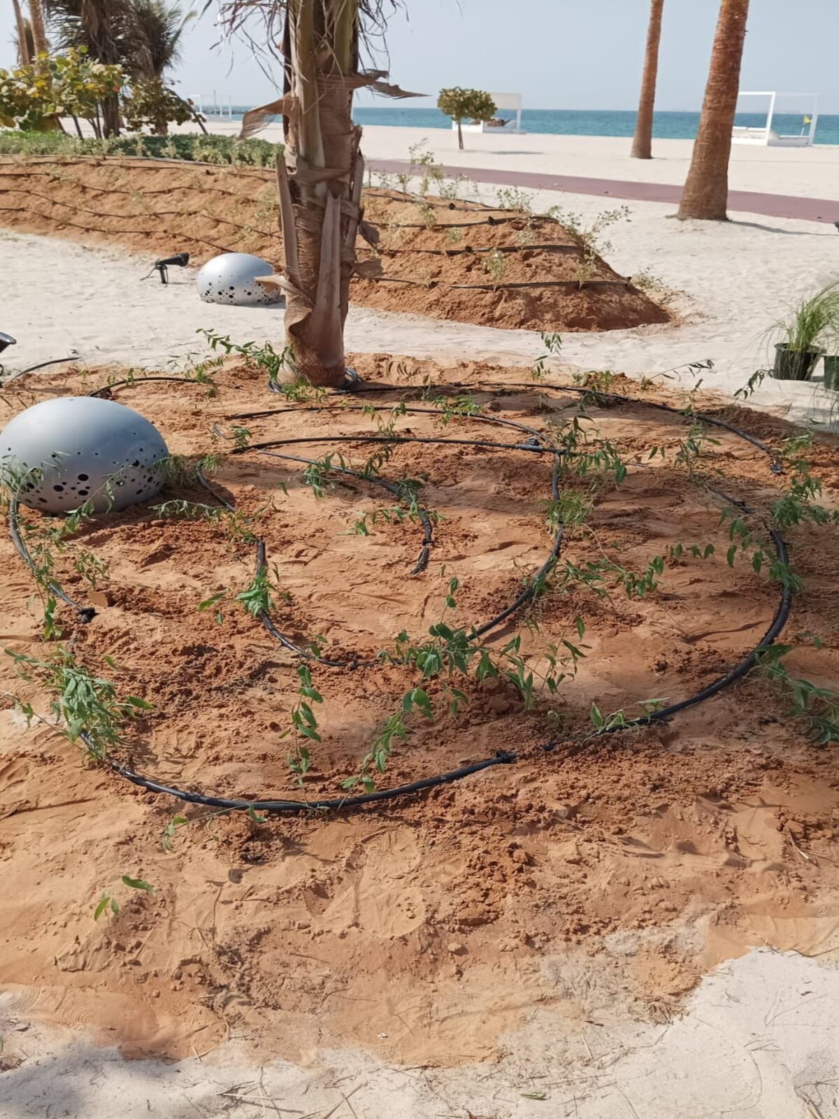 1155350a-da0e-459d-8d6c-9ec3624eafb7