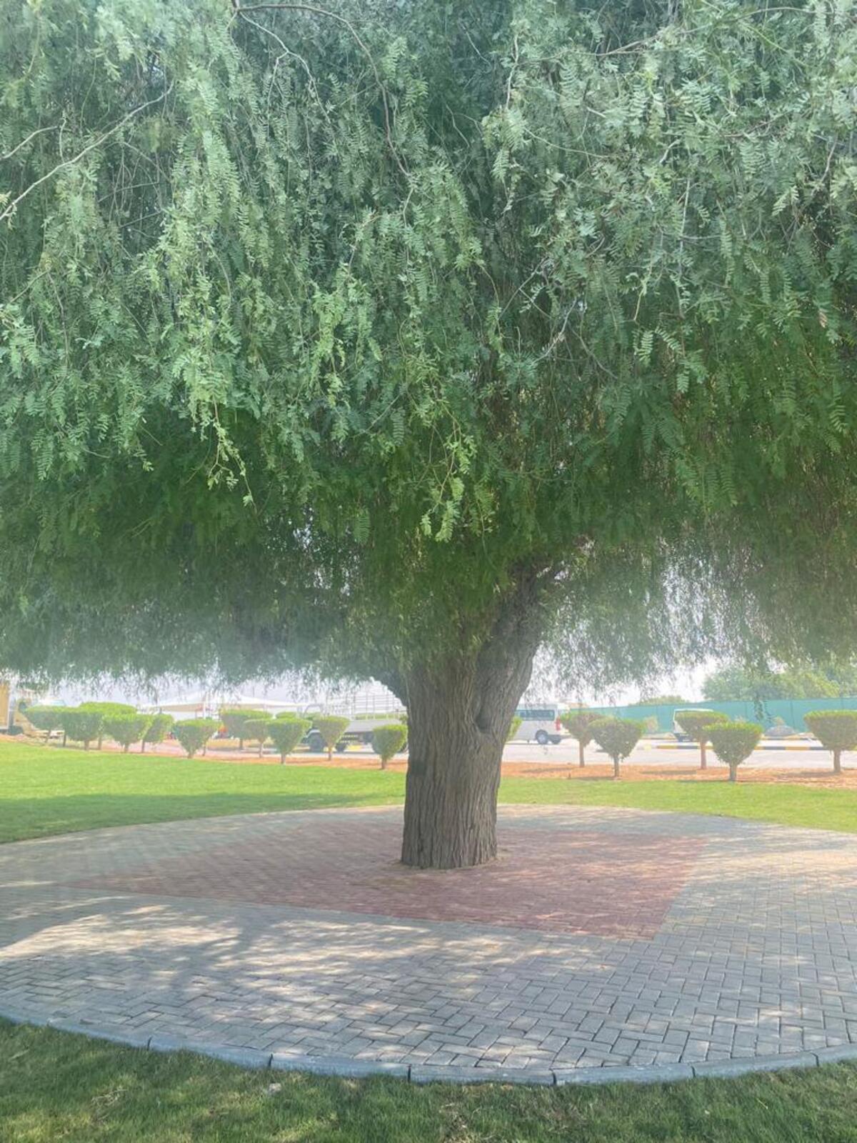 WhatsApp Image 2022-11-11 at 10.55.34 AM