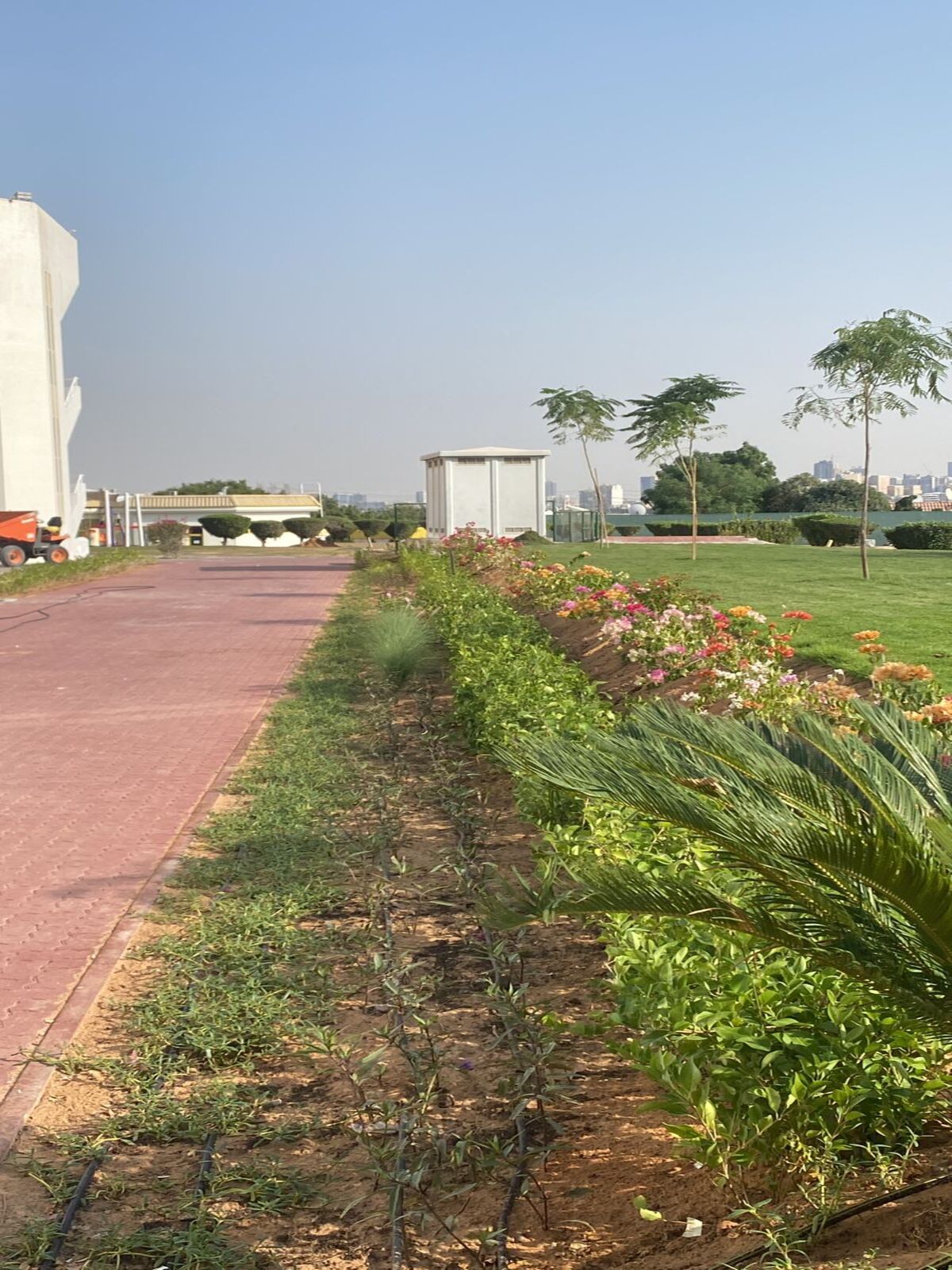 WhatsApp Image 2022-11-11 at 10.56.00 AM (1)