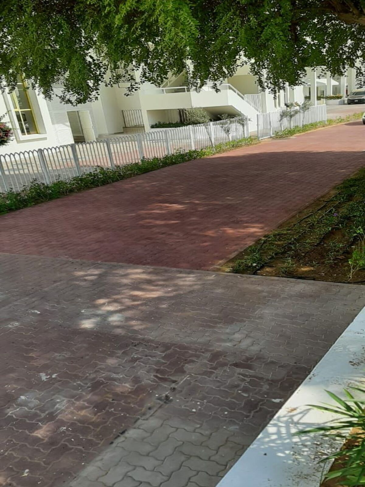 WhatsApp Image 2022-11-11 at 10.56.01 AM (1)