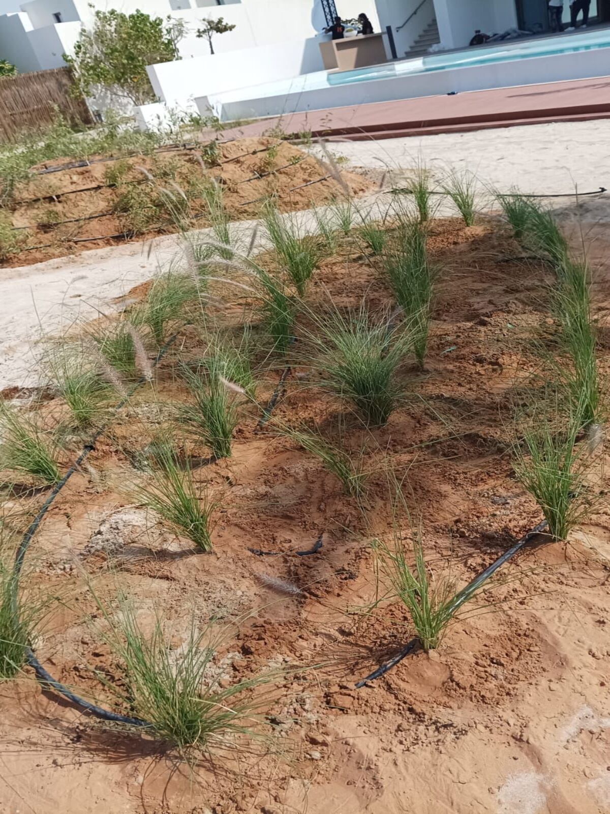 e0a6329f-f666-419e-9c54-0a4110ec53cb