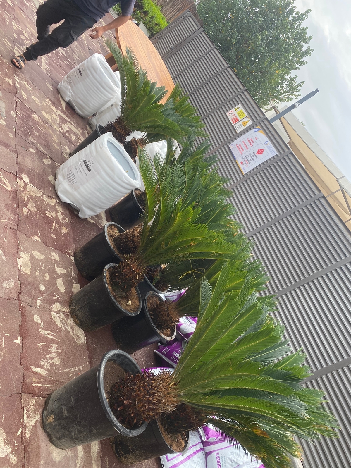 WhatsApp Image 2023-01-09 at 5.12.03 PM