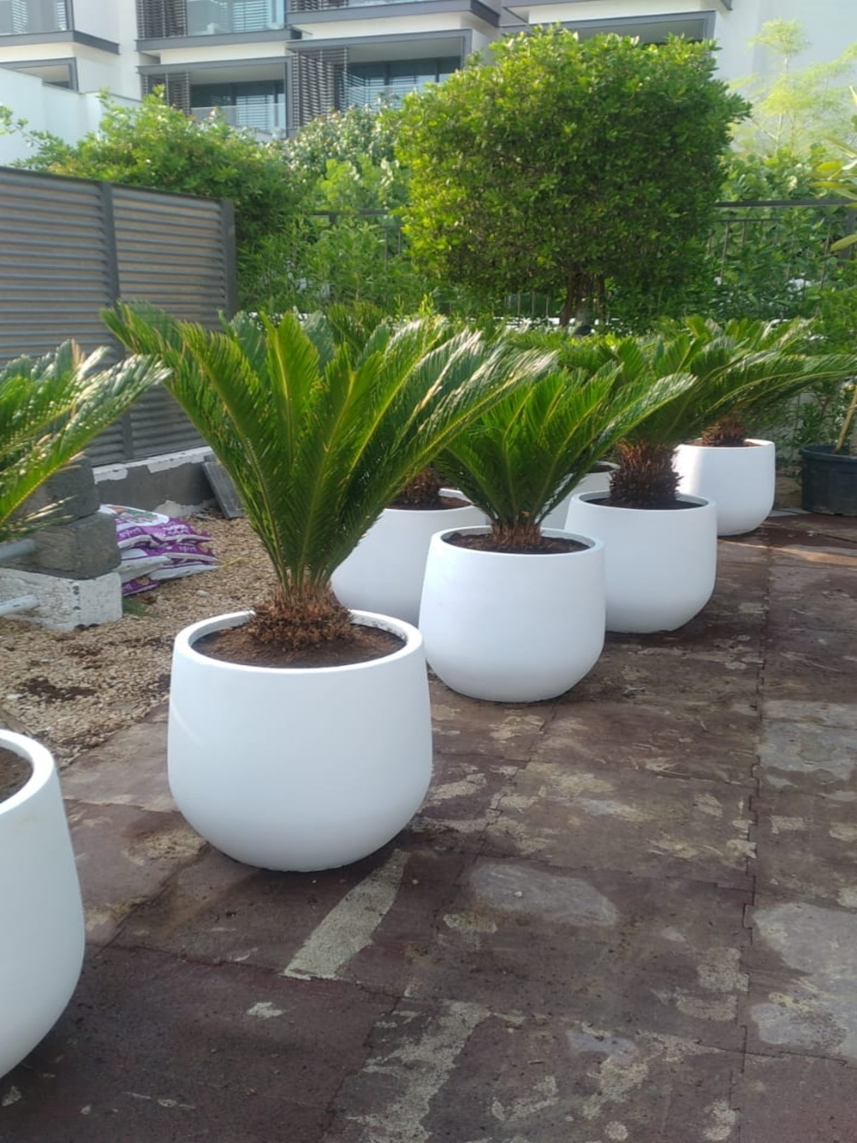 WhatsApp Image 2023-01-09 at 5.12.05 PM (1)