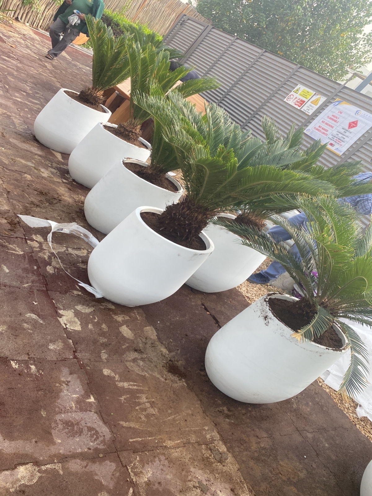 WhatsApp Image 2023-01-09 at 5.12.05 PM