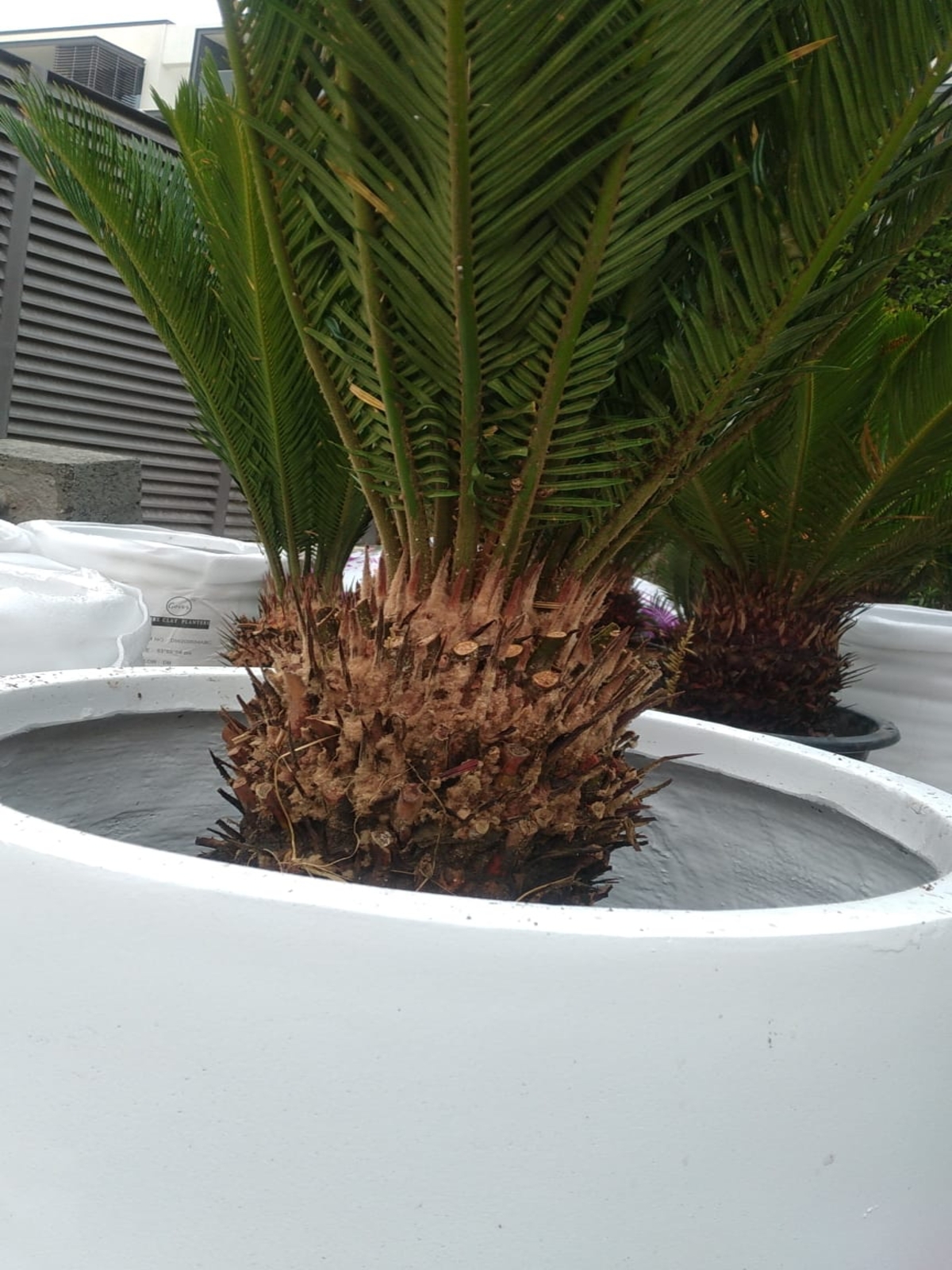 WhatsApp Image 2023-01-09 at 5.12.06 PM